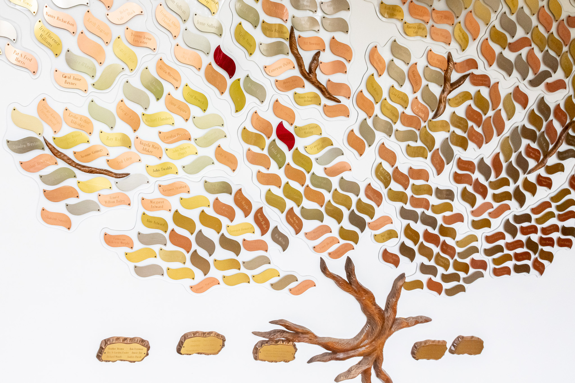 Memory tree face on