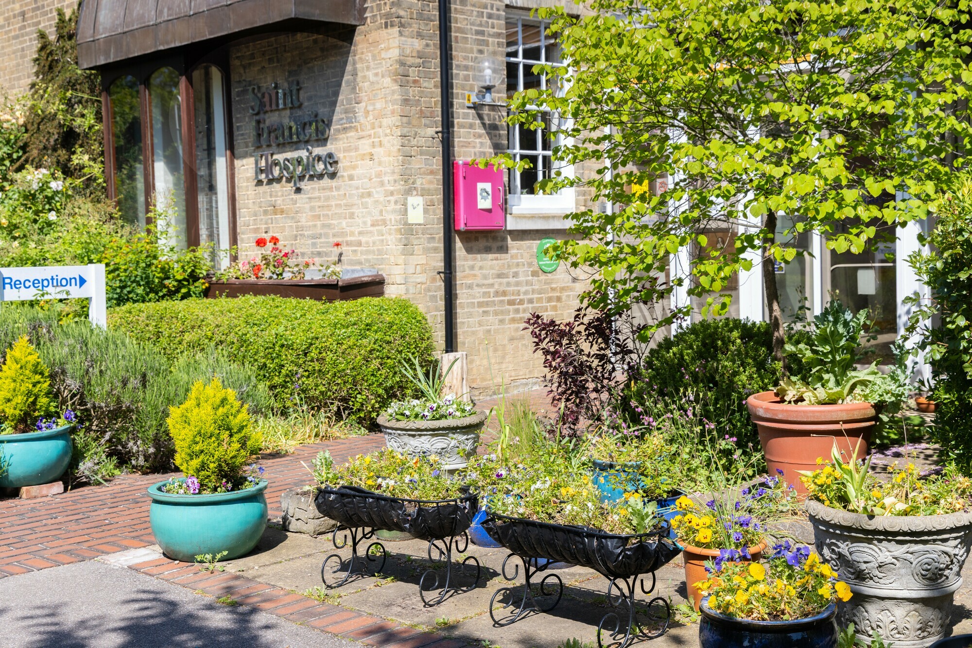 Saint Francis Hospice